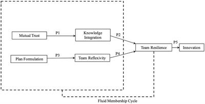 Examining the fluidity of innovation teams: a conceptual framework